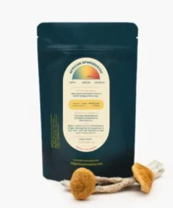 magi
