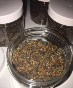 changa DMT
