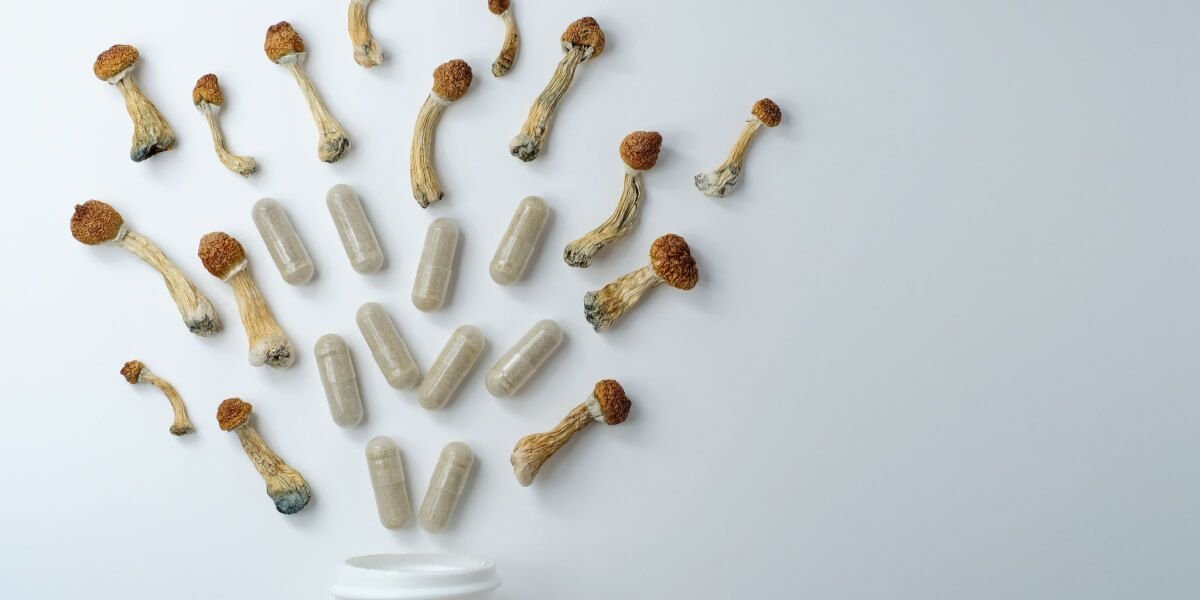 microdose mushrooms psilocybin microdosing small dose mushroom products wellness and focus