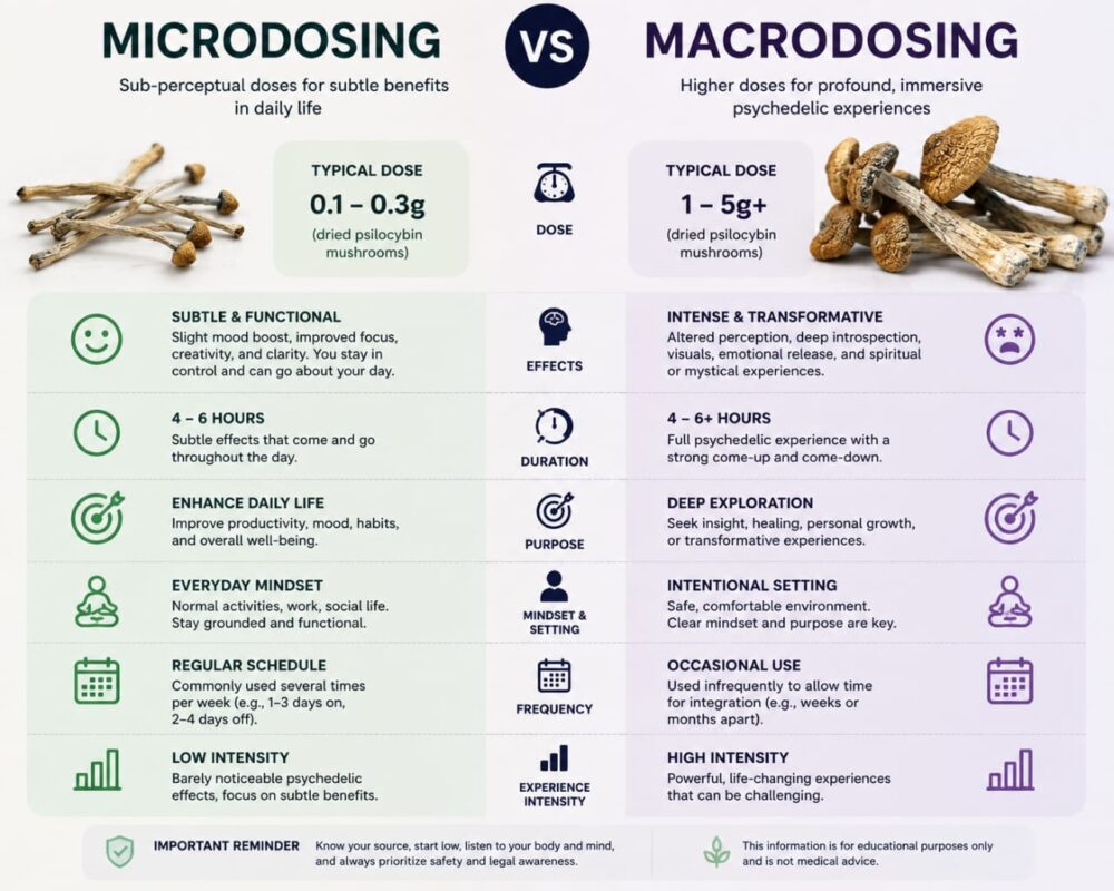 ALT Text microdose magic mushrooms safely psilocybin microdosing safety guidelines responsible use information 🏷️ Image Title Microdose Magic Mushrooms Safely – Psilocybin Safety Guide 📝 Caption Microdose magic mushrooms safely refers to general safety considerations, responsible use practices, and awareness around psilocybin microdosing discussions