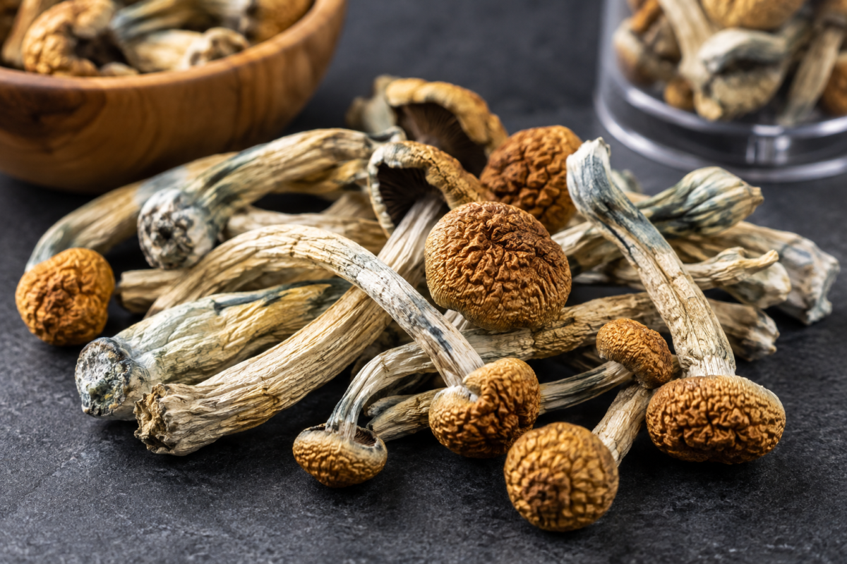 How Long Does Psychedelic Mushrooms Stay in Your System? how long does psychedelic mushrooms stay in your system