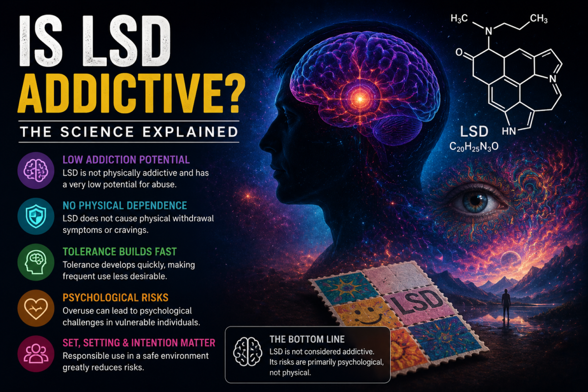 Is LSD addictive educational illustration explaining LSD addiction and psychological risks