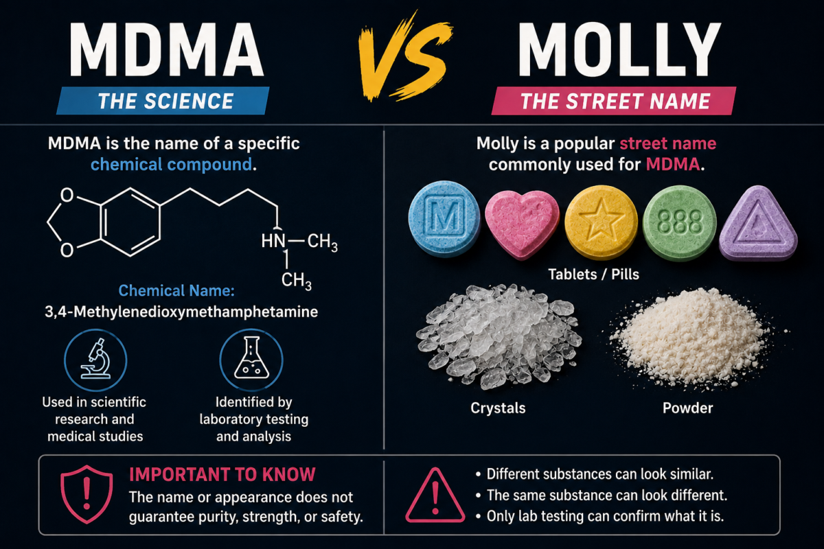 mdma vs molly